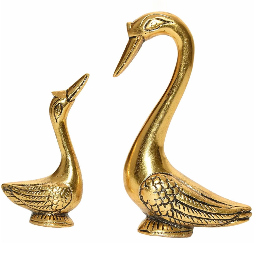 Oxidized pair of swan for your living space